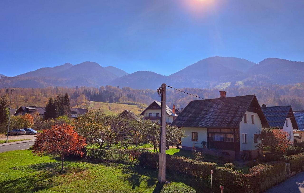 Apartmaji Alpski Cvet - Hisa Gorenc Бохинь Экстерьер фото