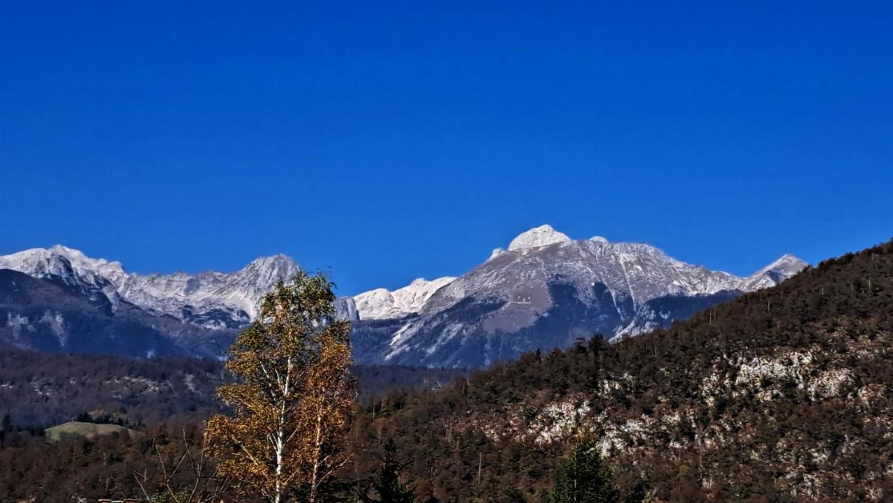 Apartmaji Alpski Cvet - Hisa Gorenc Бохинь Экстерьер фото