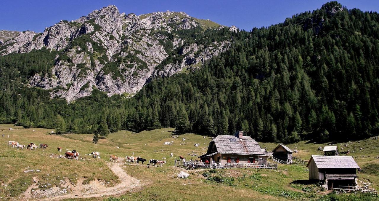 Apartmaji Alpski Cvet - Hisa Gorenc Бохинь Экстерьер фото
