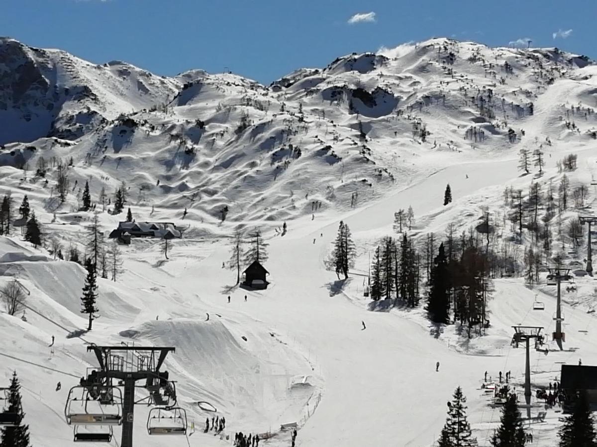 Apartmaji Alpski Cvet - Hisa Gorenc Бохинь Экстерьер фото