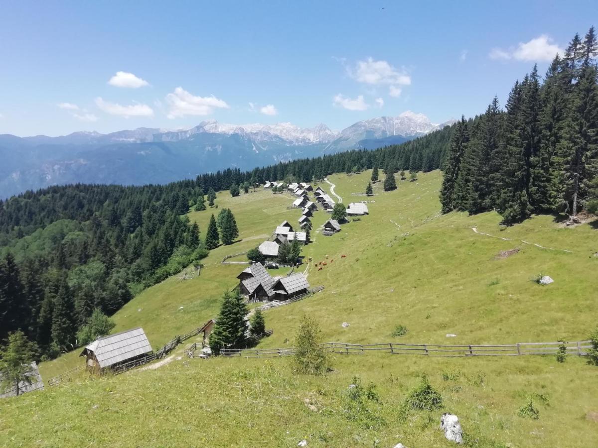 Apartmaji Alpski Cvet - Hisa Gorenc Бохинь Экстерьер фото